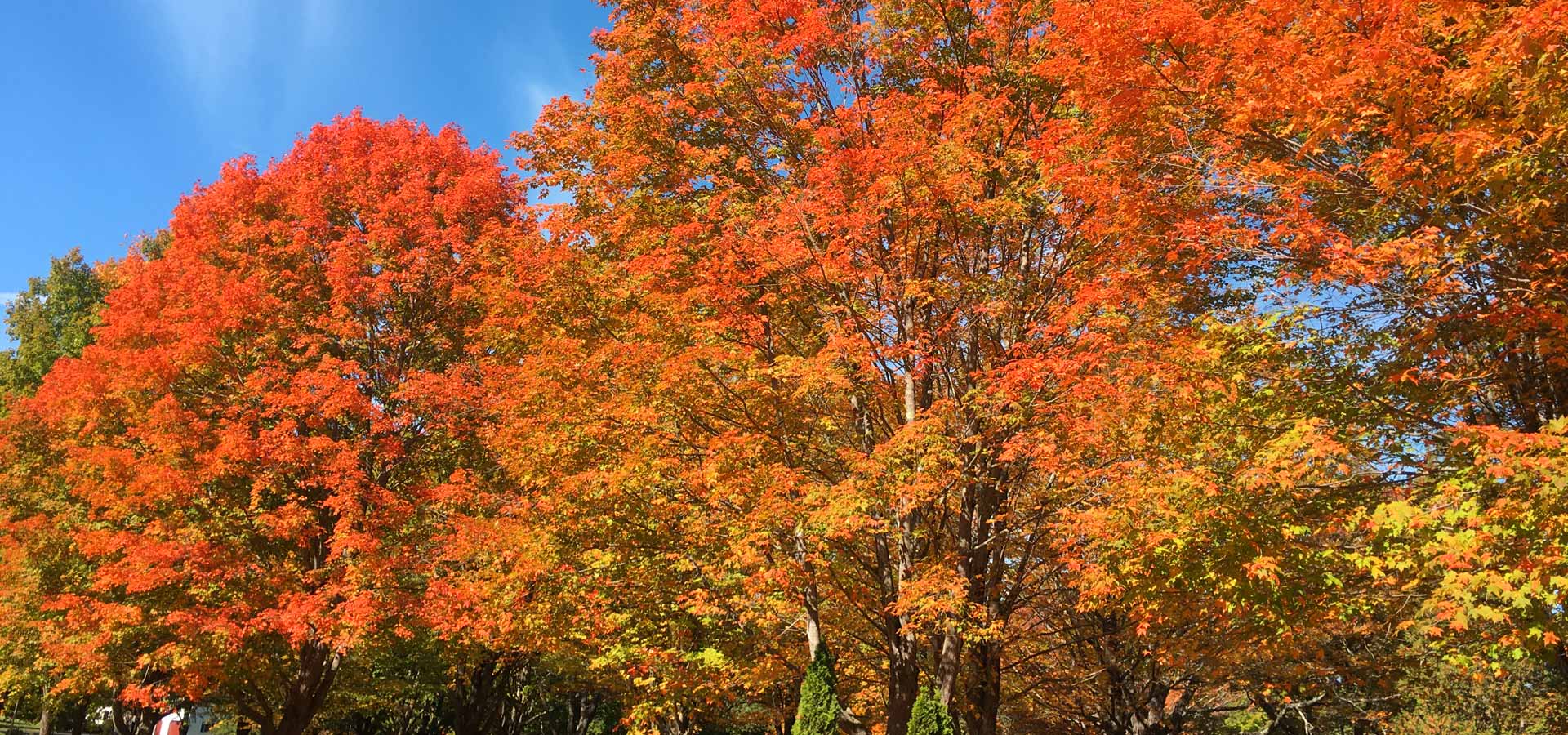 Maine Land Conservation Assistance Network